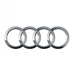 Specific browsers Audi